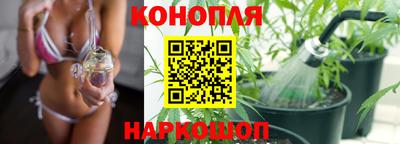 jwh Будённовск