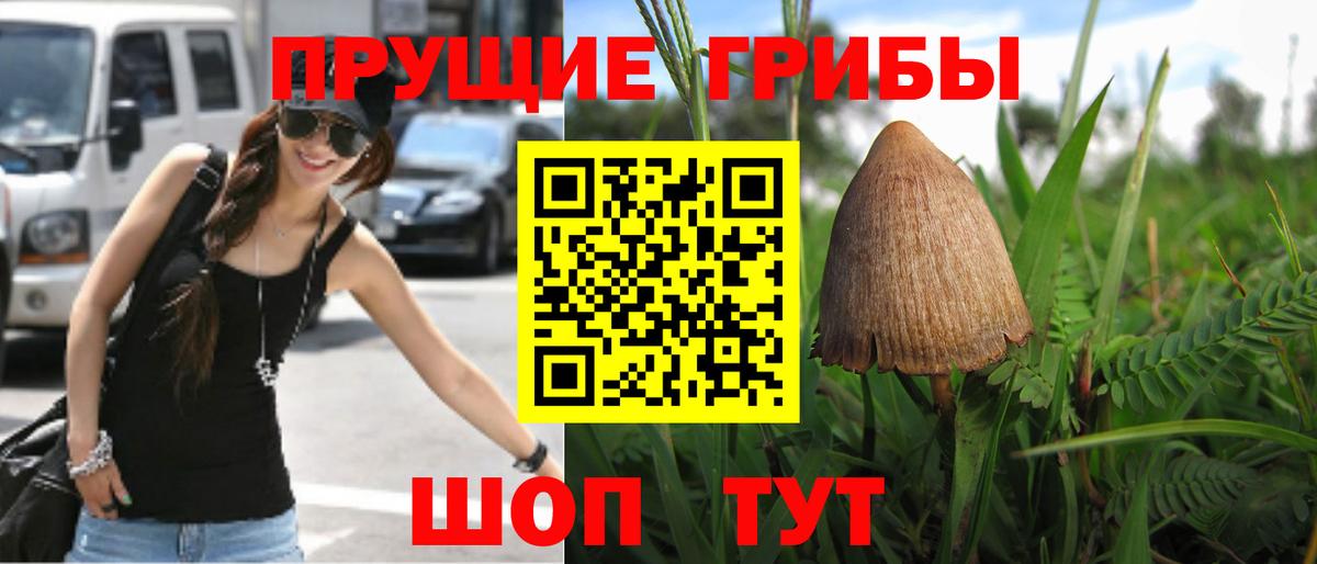 Псилоцибиновые грибы MAGIC MUSHROOMS  Вход с VPN  Родники 